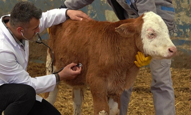 ŞAP HASTALIĞI İLE İLGİLİ BASIN AÇIKLAMASI