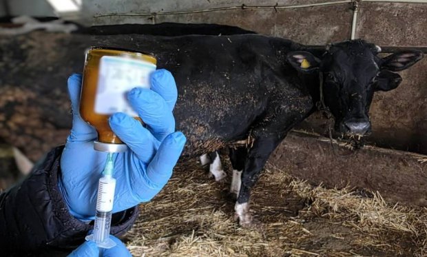 2026 YILI ŞAP AŞILAMA KAMPANYASI HAKKINDA KAMUOYUNA DUYURU