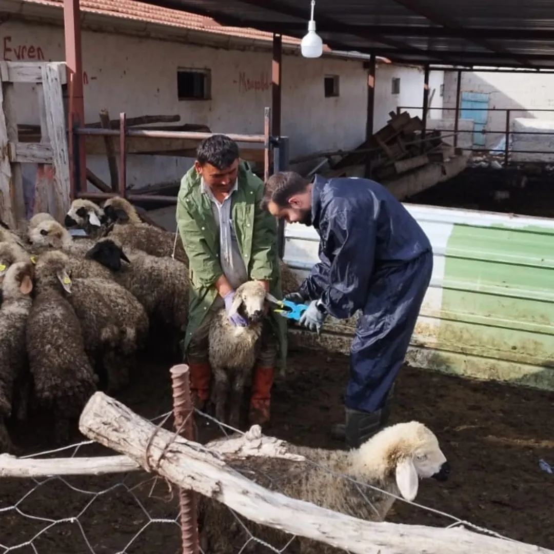 ETKİNLİK RESİMLERİ