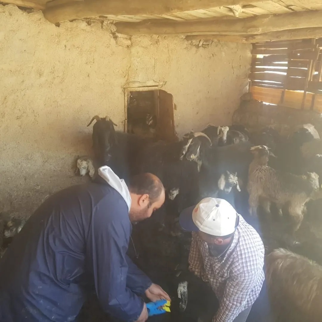 ETKİNLİK RESİMLERİ