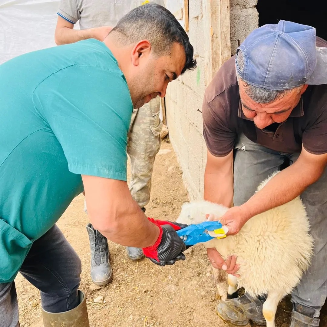 ETKİNLİK RESİMLERİ