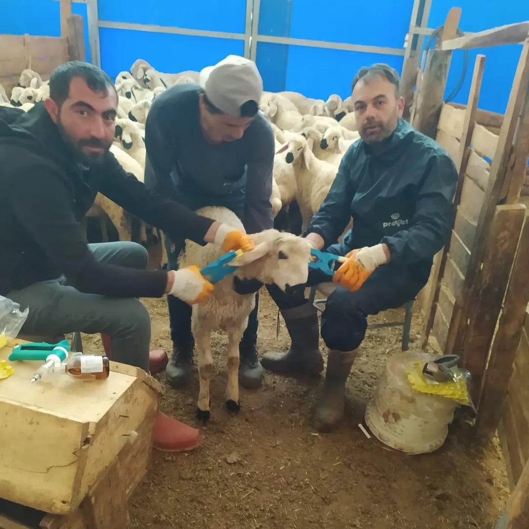 ETKİNLİK RESİMLERİ