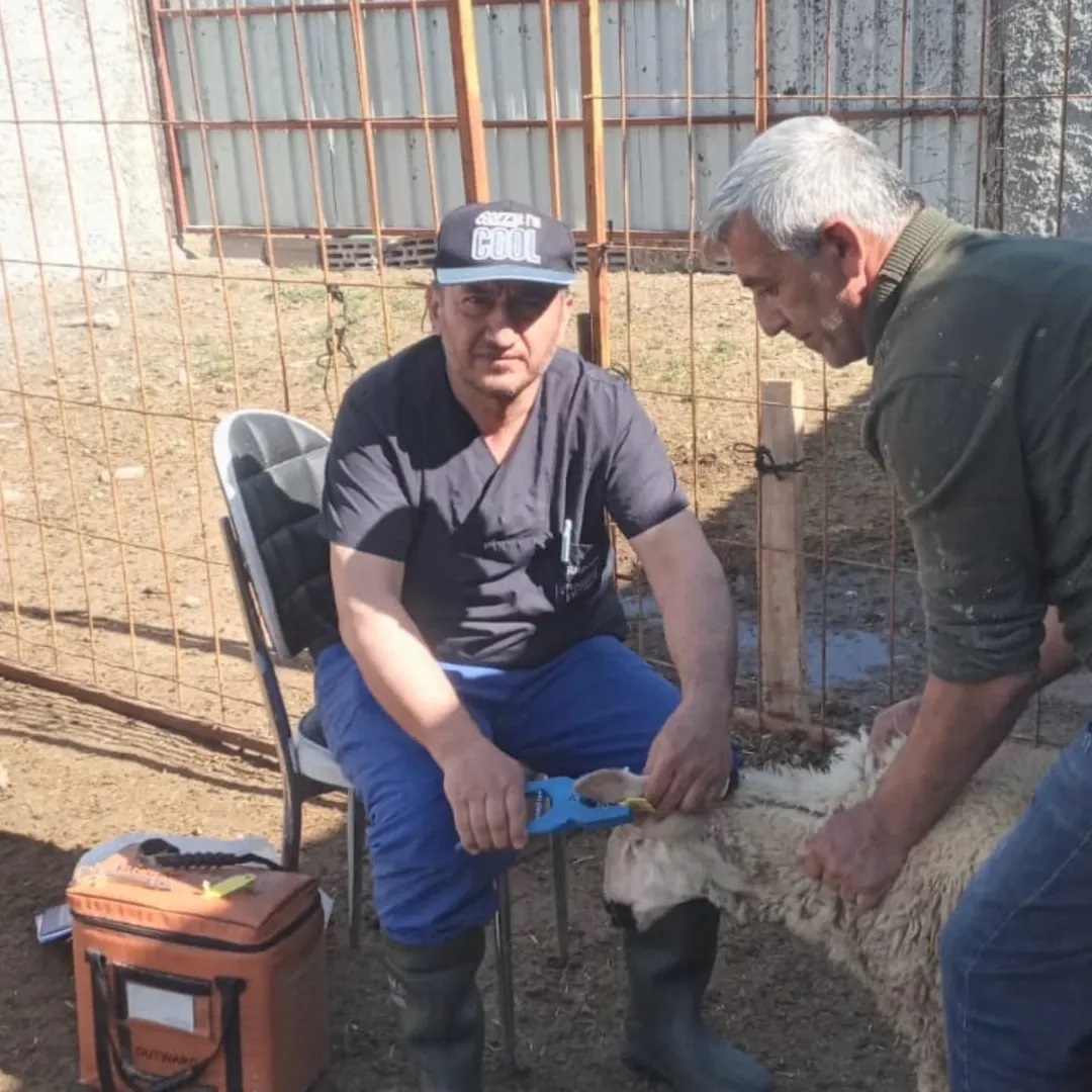 ETKİNLİK RESİMLERİ